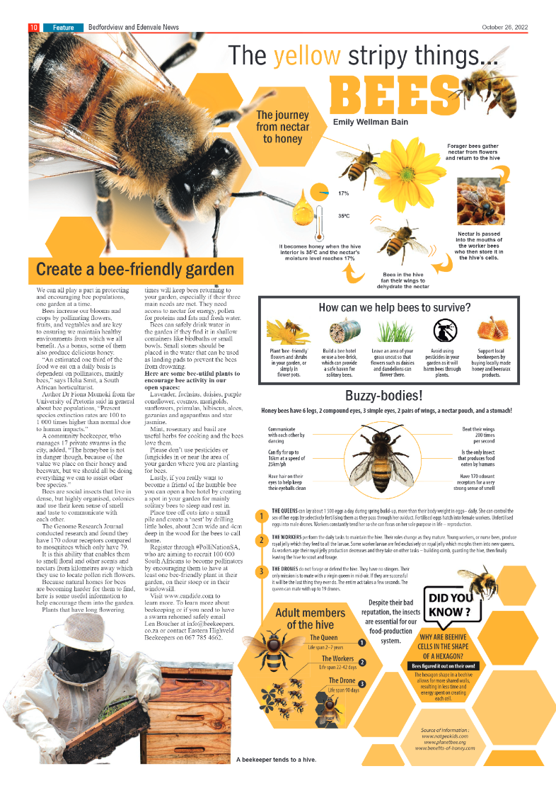 Bedfordview and Edenvale 26 October 2022 page 10