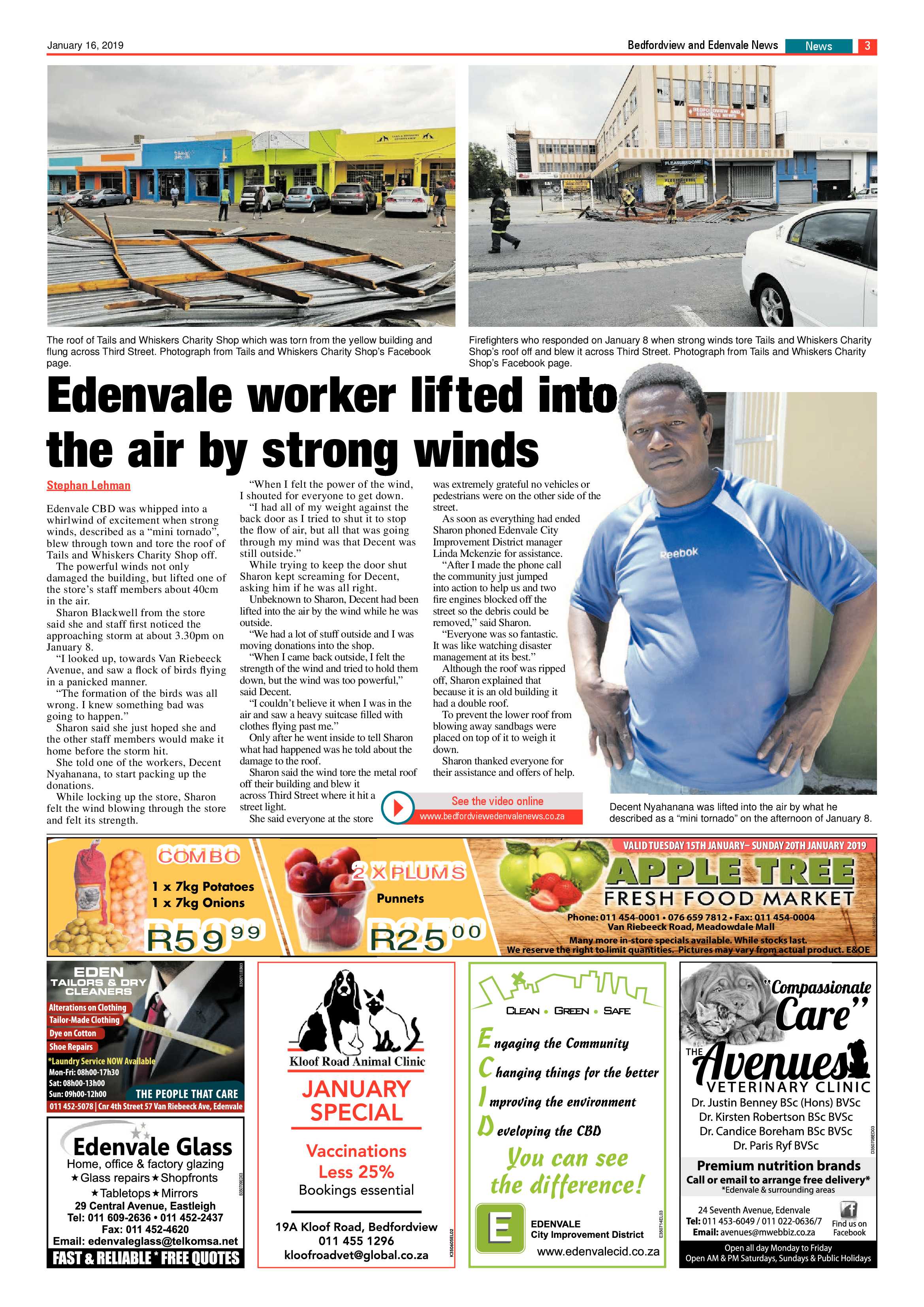 Bedfordview and Edenvale News 16 January 2019 page 3