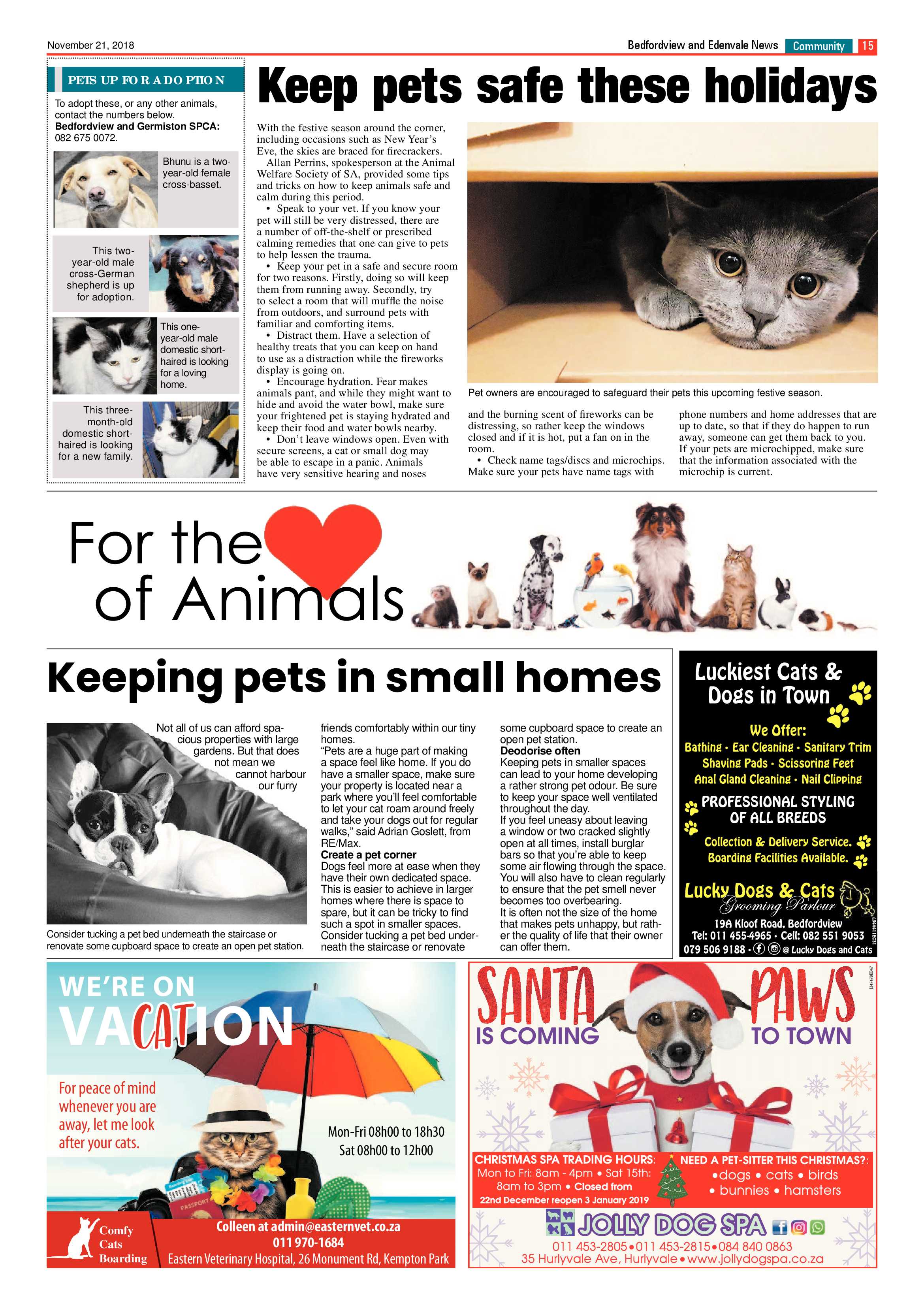Bedfordview and Edenvale News 21 November 2018 page 15