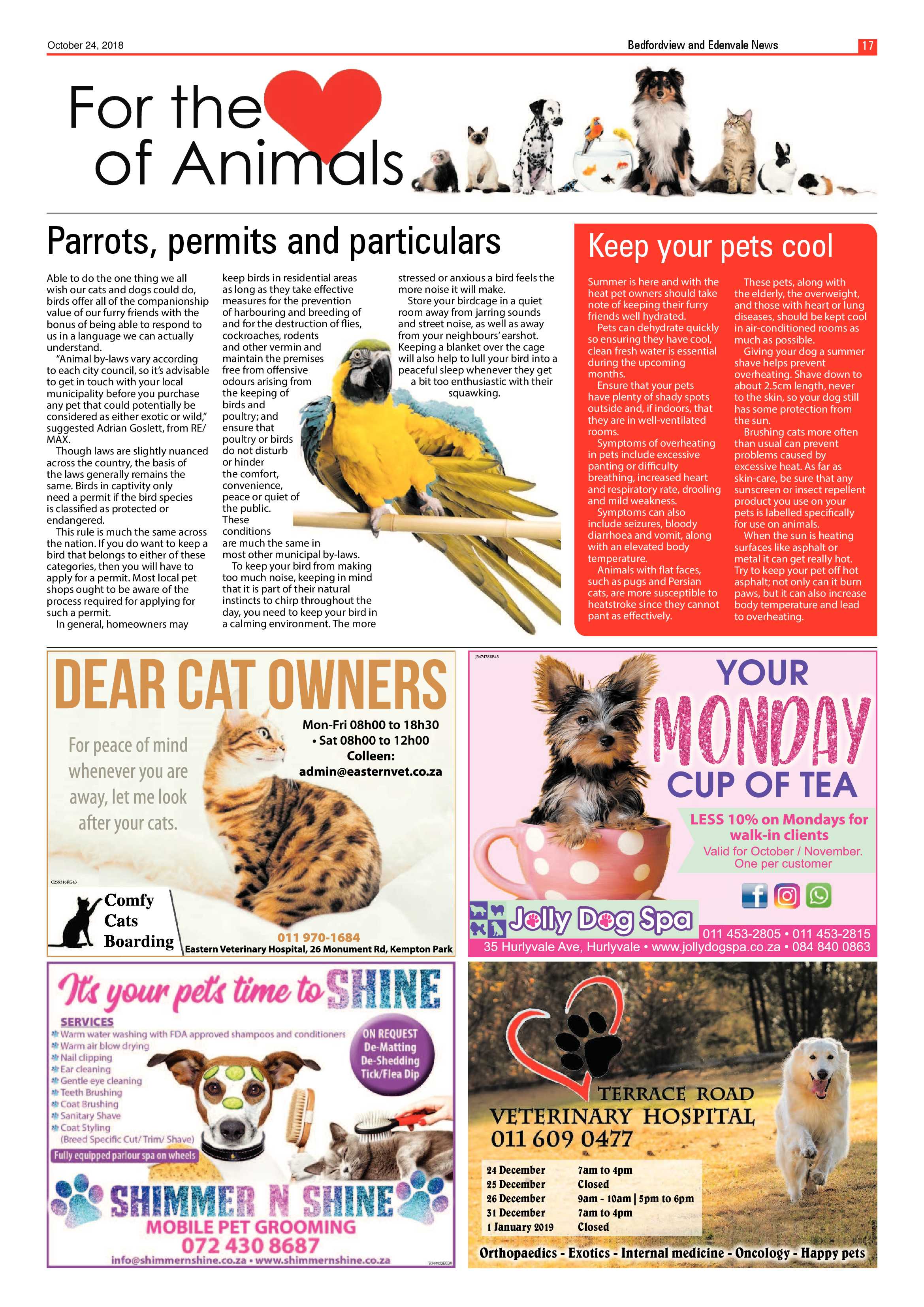 Bedfordview and Edenvale News 24 October 2018 page 17
